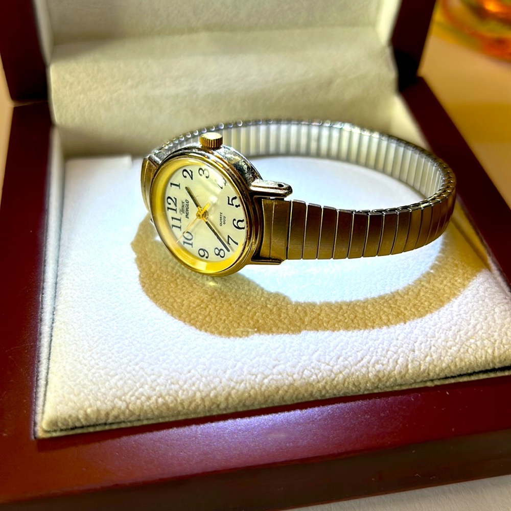 Timex Indaglo Basix